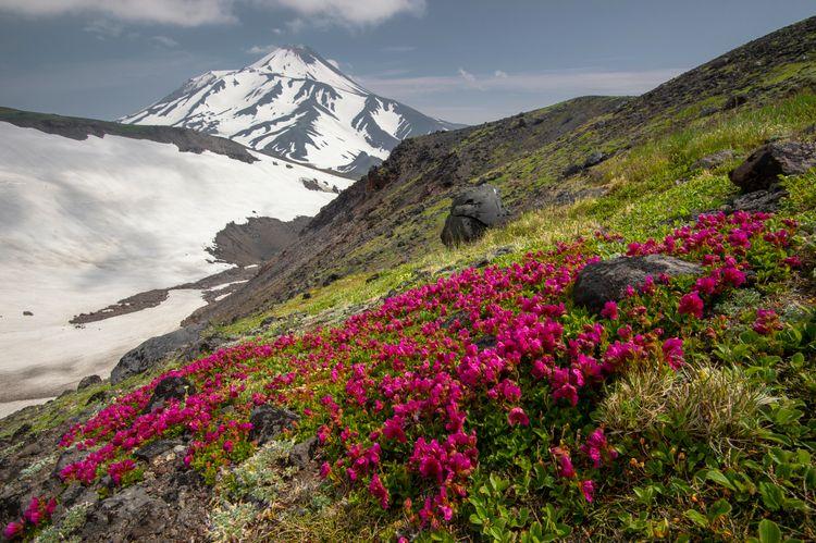 medium_Алексей Перелыгин.jpg